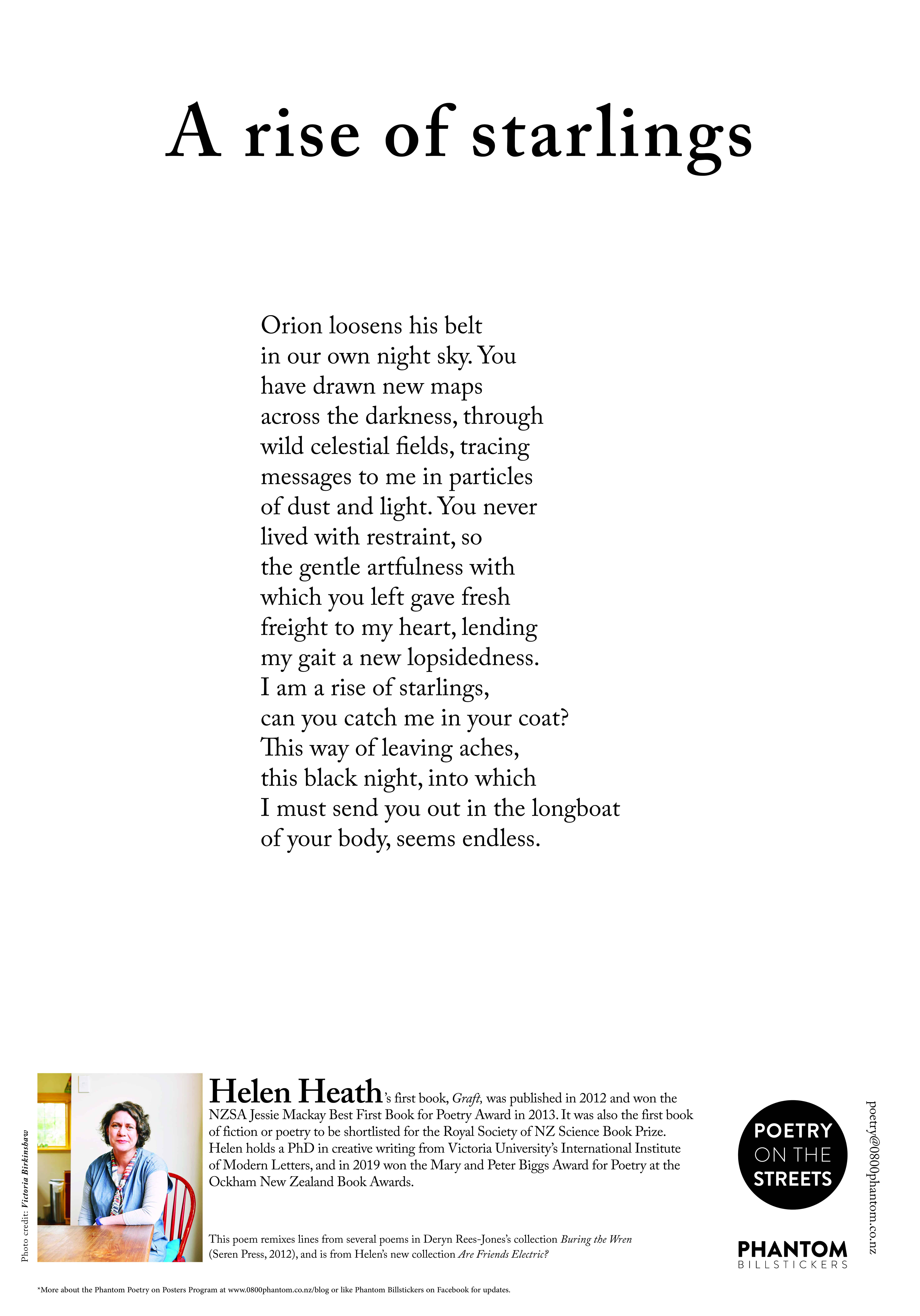 Helen Heath A rise of starlings